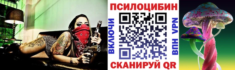 Псилоцибиновые грибы мицелий  Купить  Троицк 