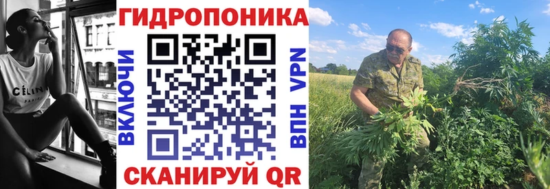Шишки марихуана планчик  Купить закладки  Троицк 